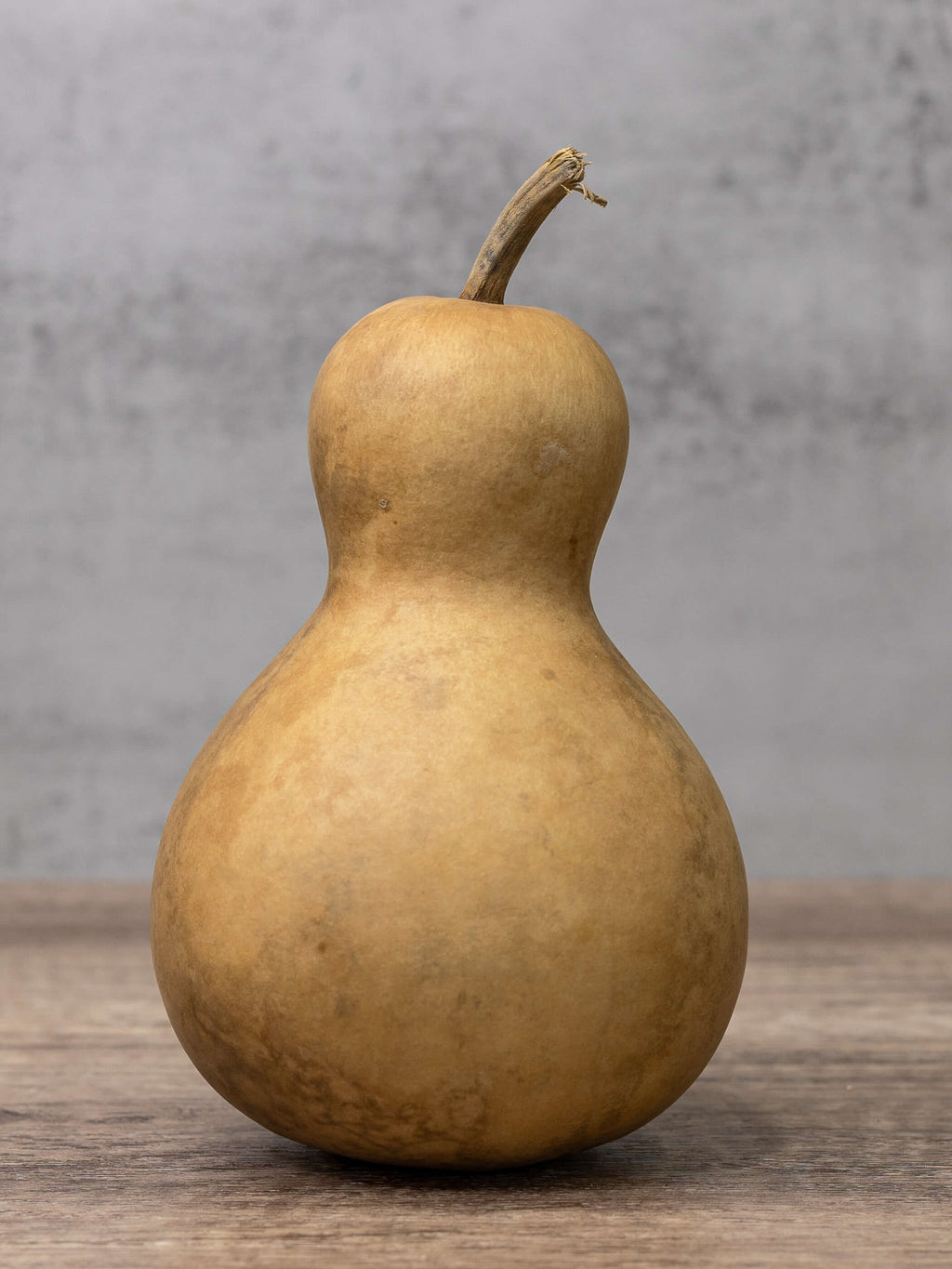 Four Inch Bottle Gourd at Meadowbrooke Gourds. 