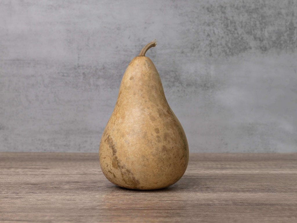 4" Hard Shell Martin Gourds at Meadowbrooke Gourds.