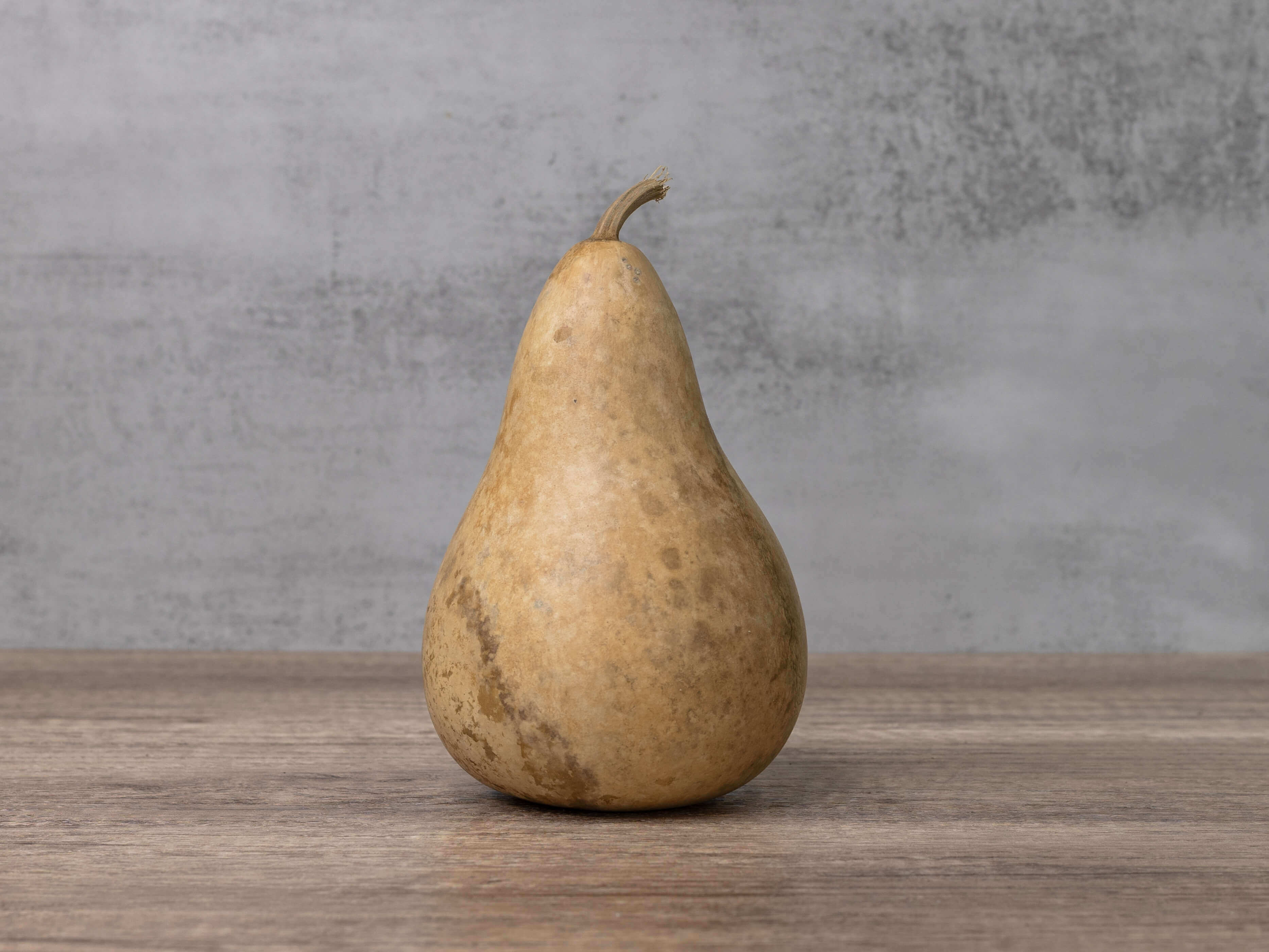 4" Hard Shell Martin Gourds at Meadowbrooke Gourds.