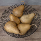 4" Hard Shell Martin Gourds at Meadowbrooke Gourds.