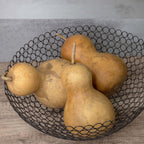 5" Hard Shell Bottle Gourds at Meadowbrooke Gourds.