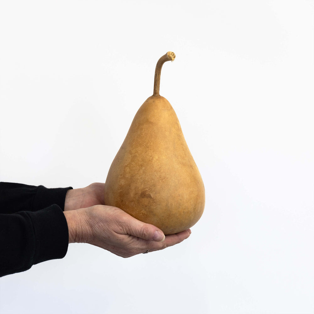 5" Hard Shell Martin Gourds at Meadowbrooke Gourds.