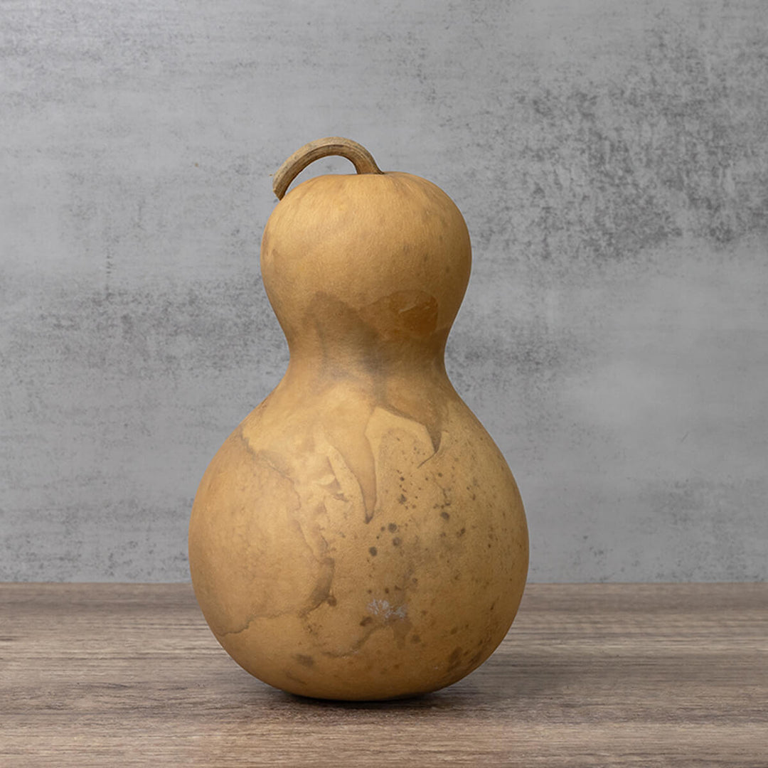 5 Inch Hard Shell Bottle Gourd at Meadowbrooke Gourds. 