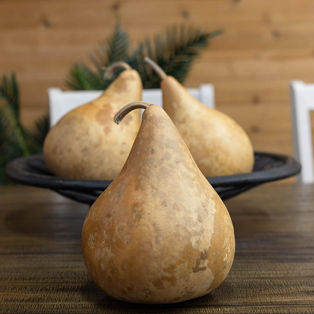 5 Inch Hard Shell Martin Gourd at Meadowbrooke Gourds. 