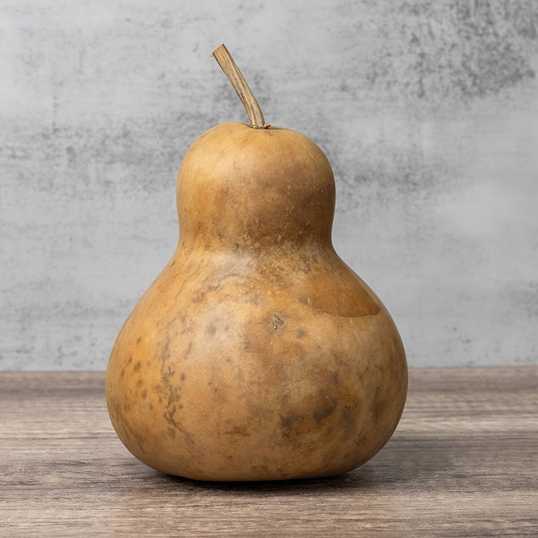 6 Inch Hard Shell Bottle Gourd at Meadowbrooke Gourds. 