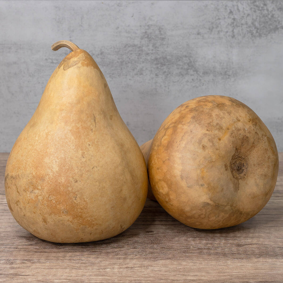 6 Inch Hard Shell Martin Gourd at Meadowbrooke Gourds. 