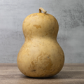Dried Bottle Gourd - 7" in Diameter
