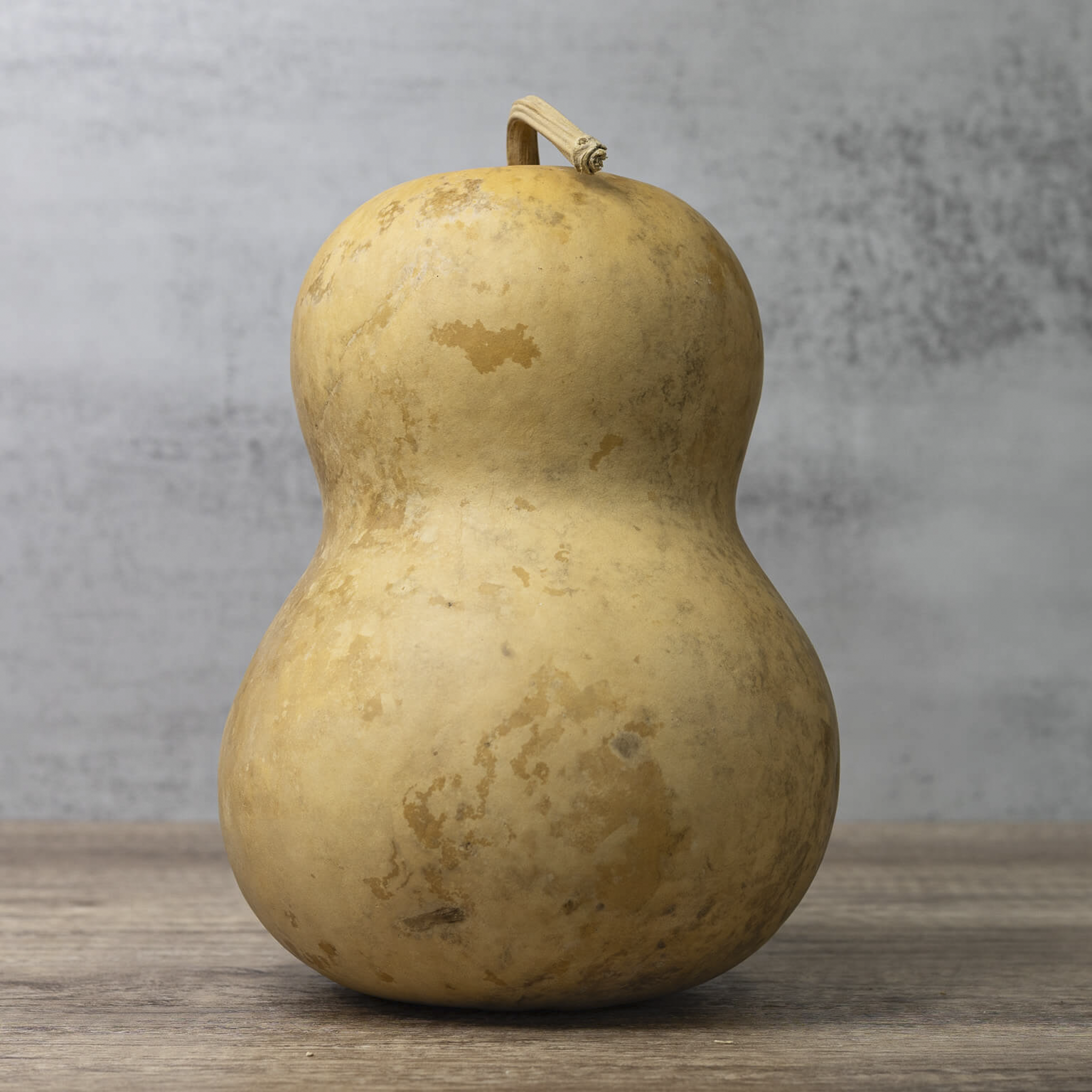 Dried Bottle Gourd - 7" in Diameter