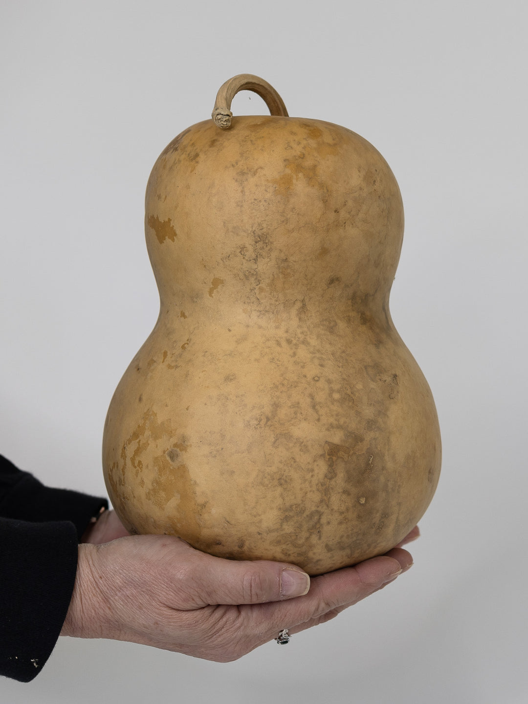 Raw unfinished seven inch bottle gourd at Meadowbrooke Gourds