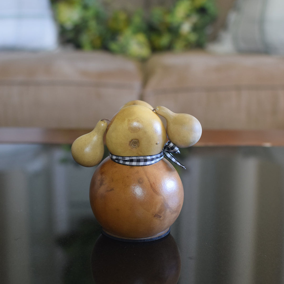 Miniature Biscuit Dog Gourd - Back View at Meadowbrooke Gourds