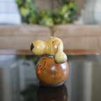 Miniature Biscuit Dog Gourd- Side View at Meadowbrooke Gourds