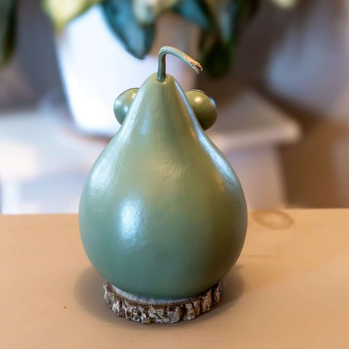 Frankie Frog Small Gourd Back View at Meadowbrooke Gourds. 