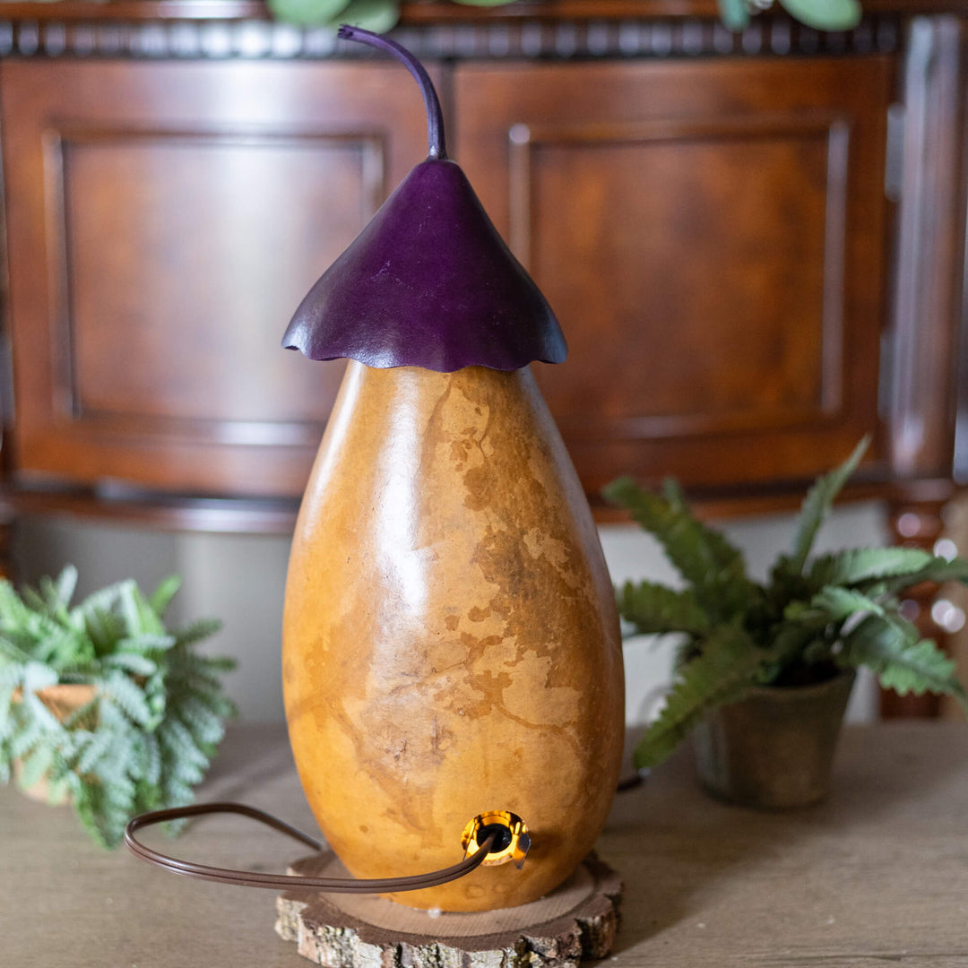 Purple Mushroom Cottage Gourd - Back View at Meadowbrooke Gourds. 