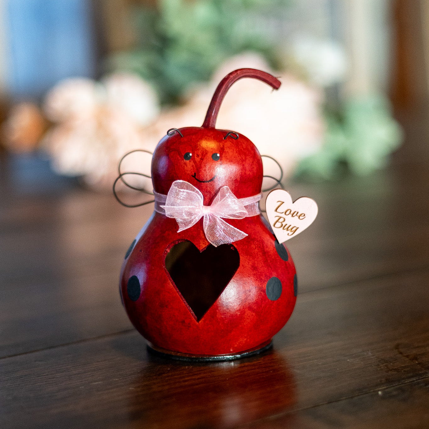 Love Bug Gourd Design at Medowbrooke Gourds. 