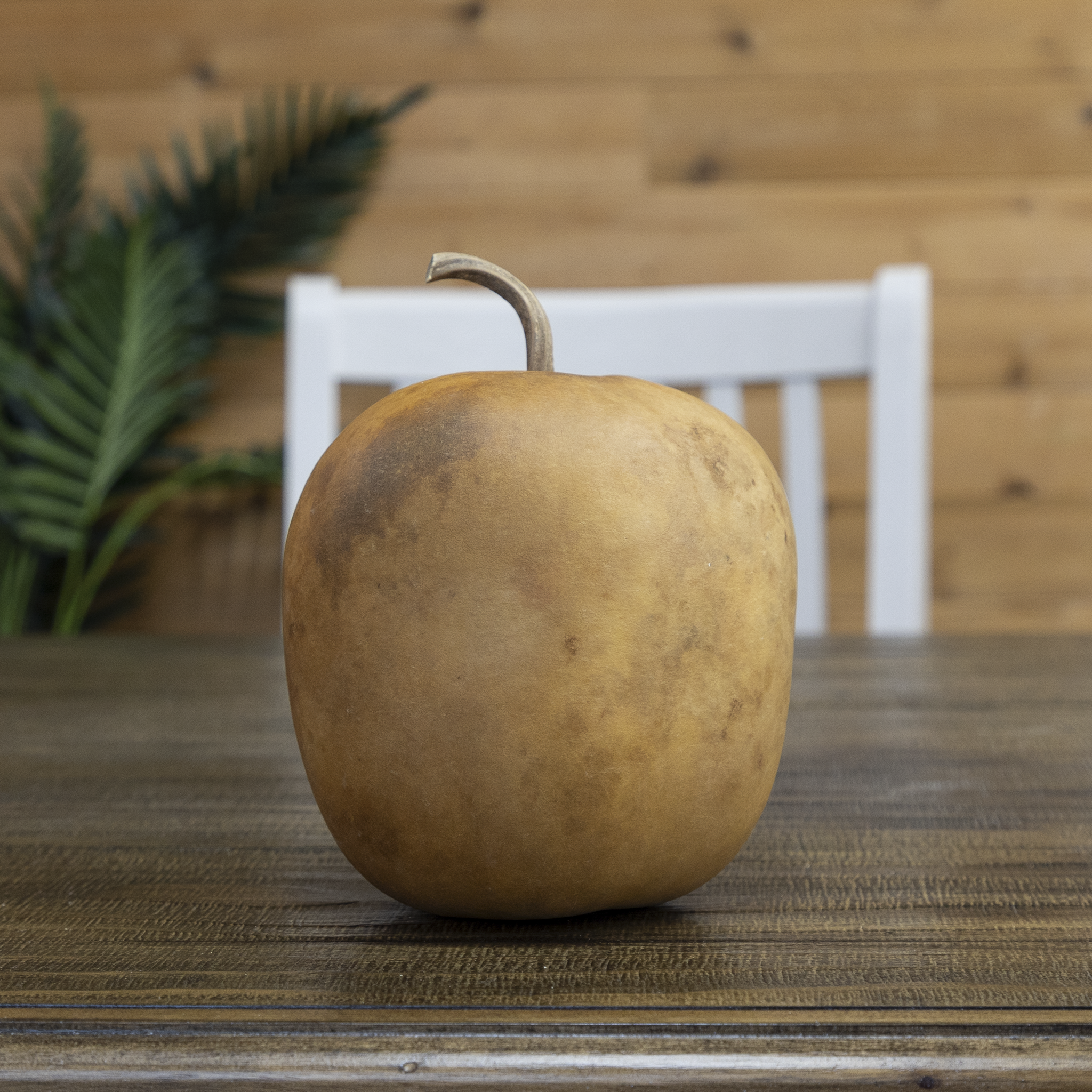 Dried Medium Apple Gourd