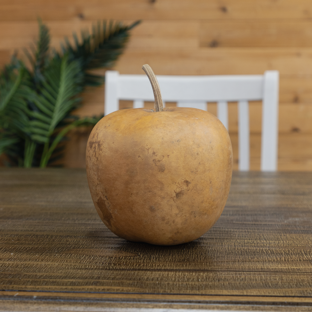 Dried Medium Apple Gourd