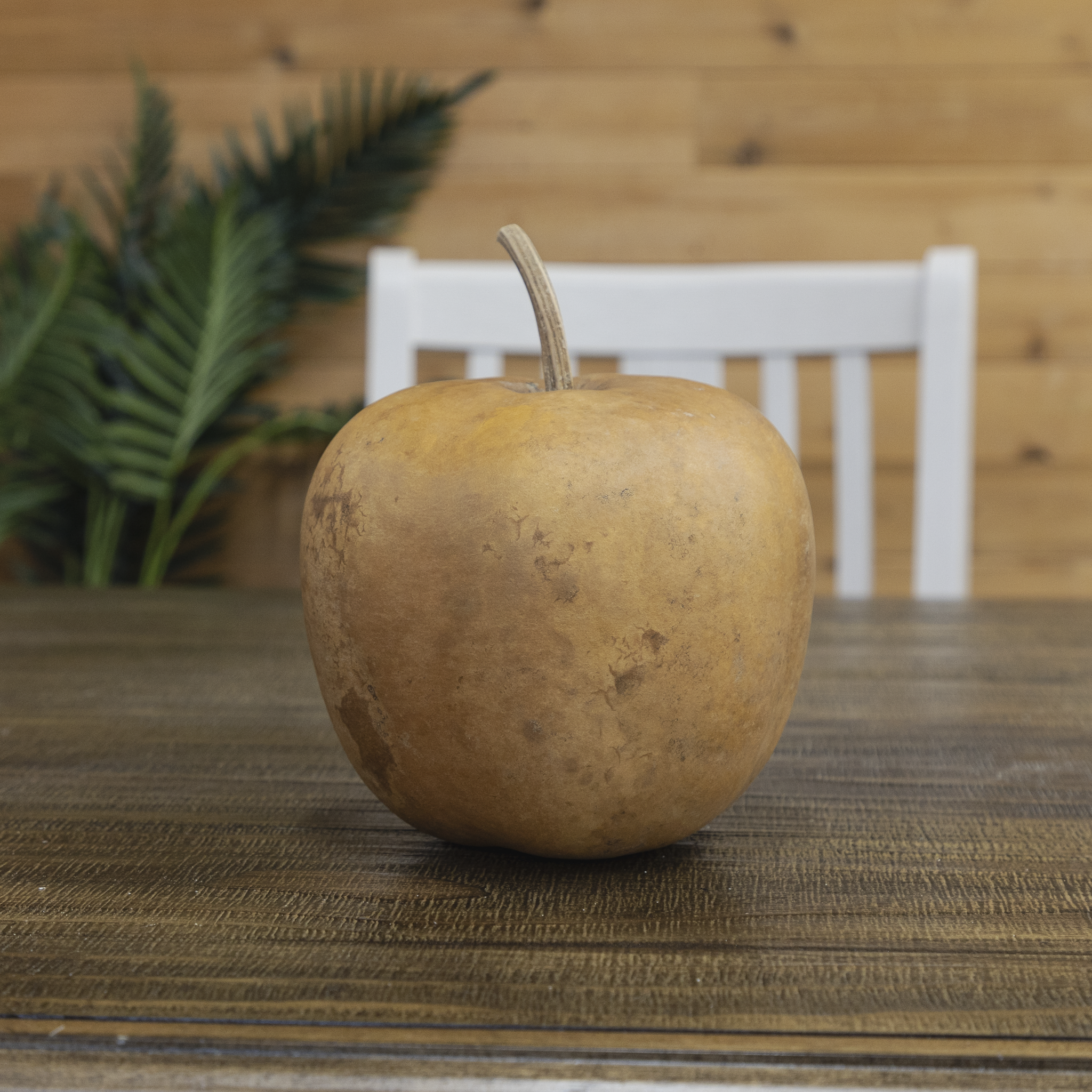 Dried Medium Apple Gourd