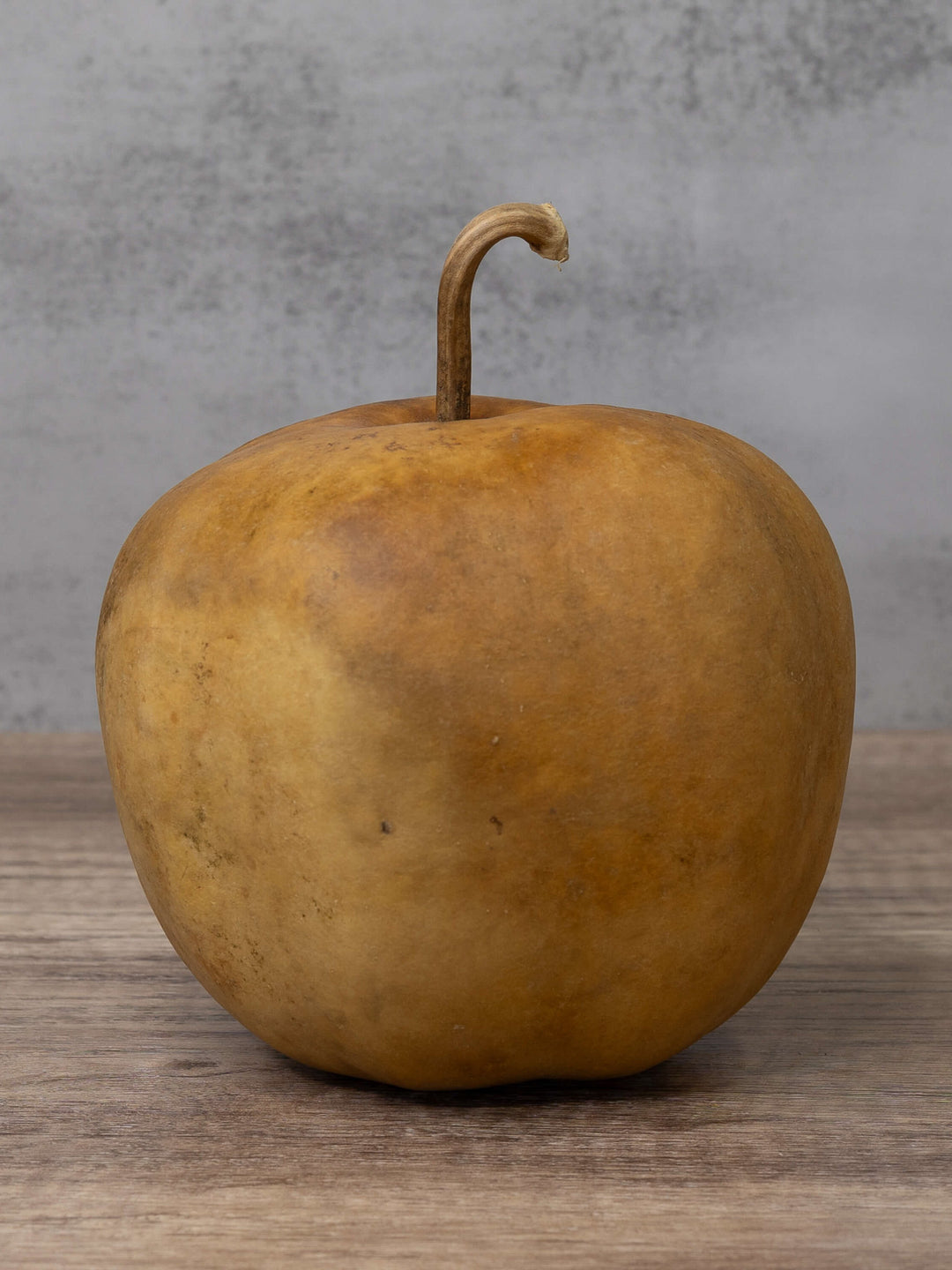 Unfinished apple gourd at Meadowbrooke Gourds