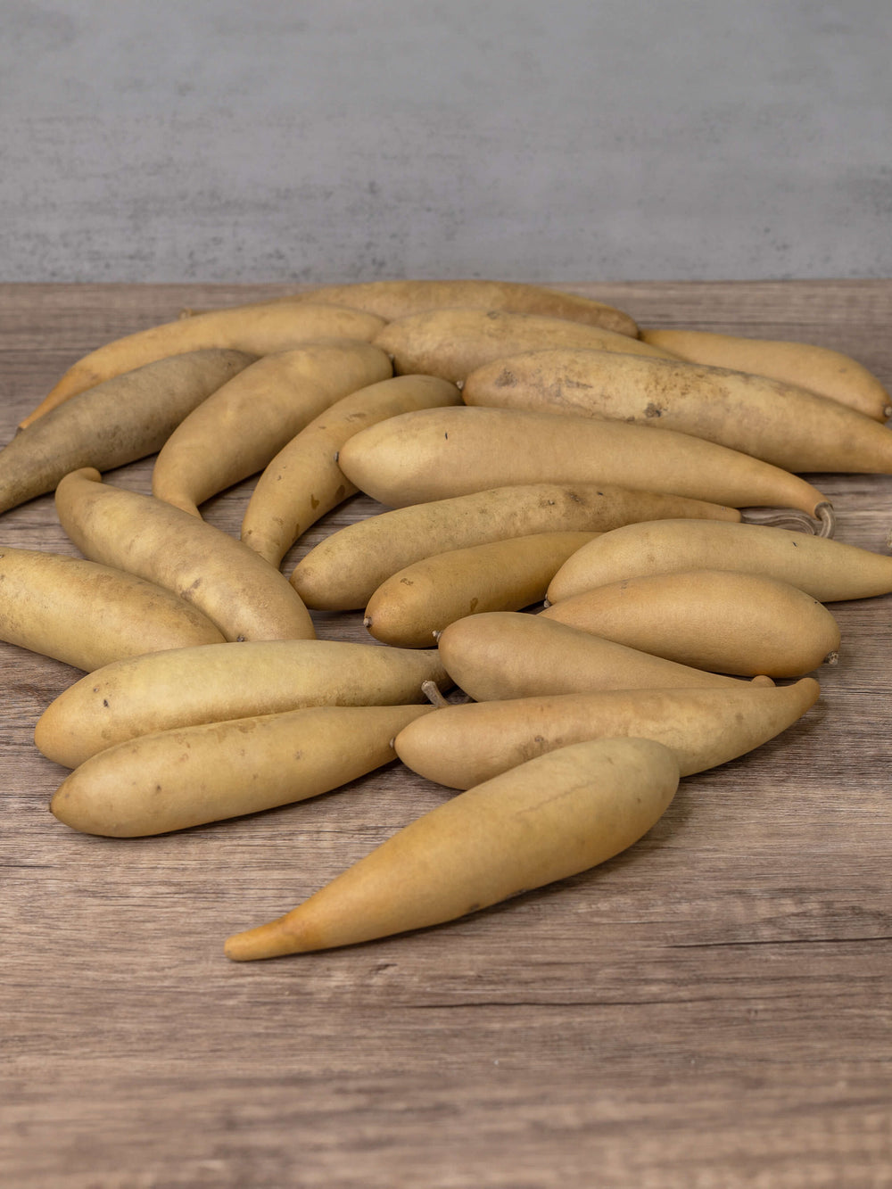 Several raw unfinished banana gourds at Meadowbrooke Gourds