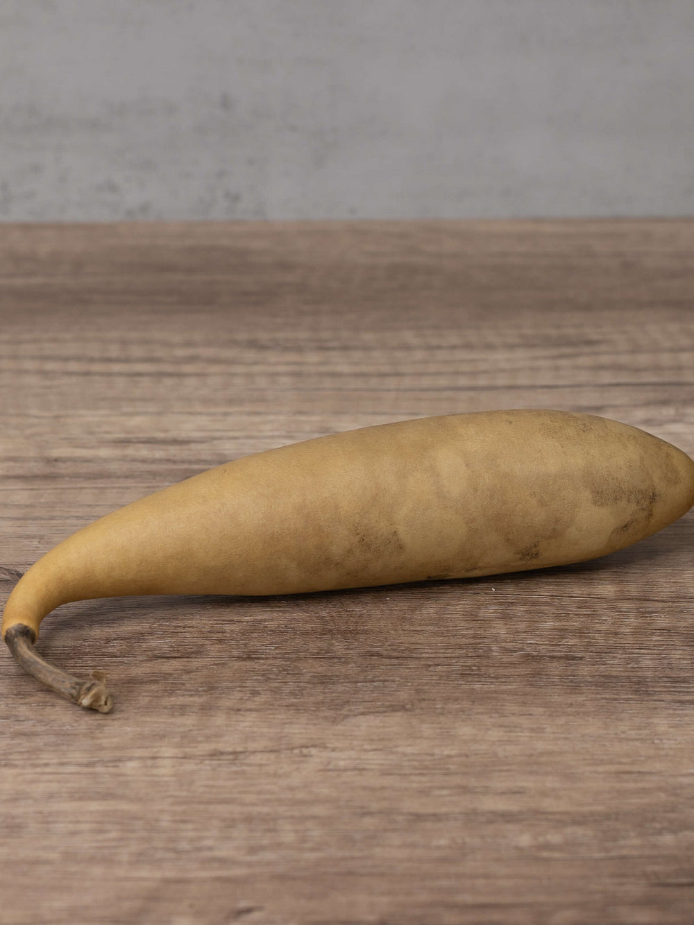 Raw unfinished banana gourd at Meadowbrooke Gourds