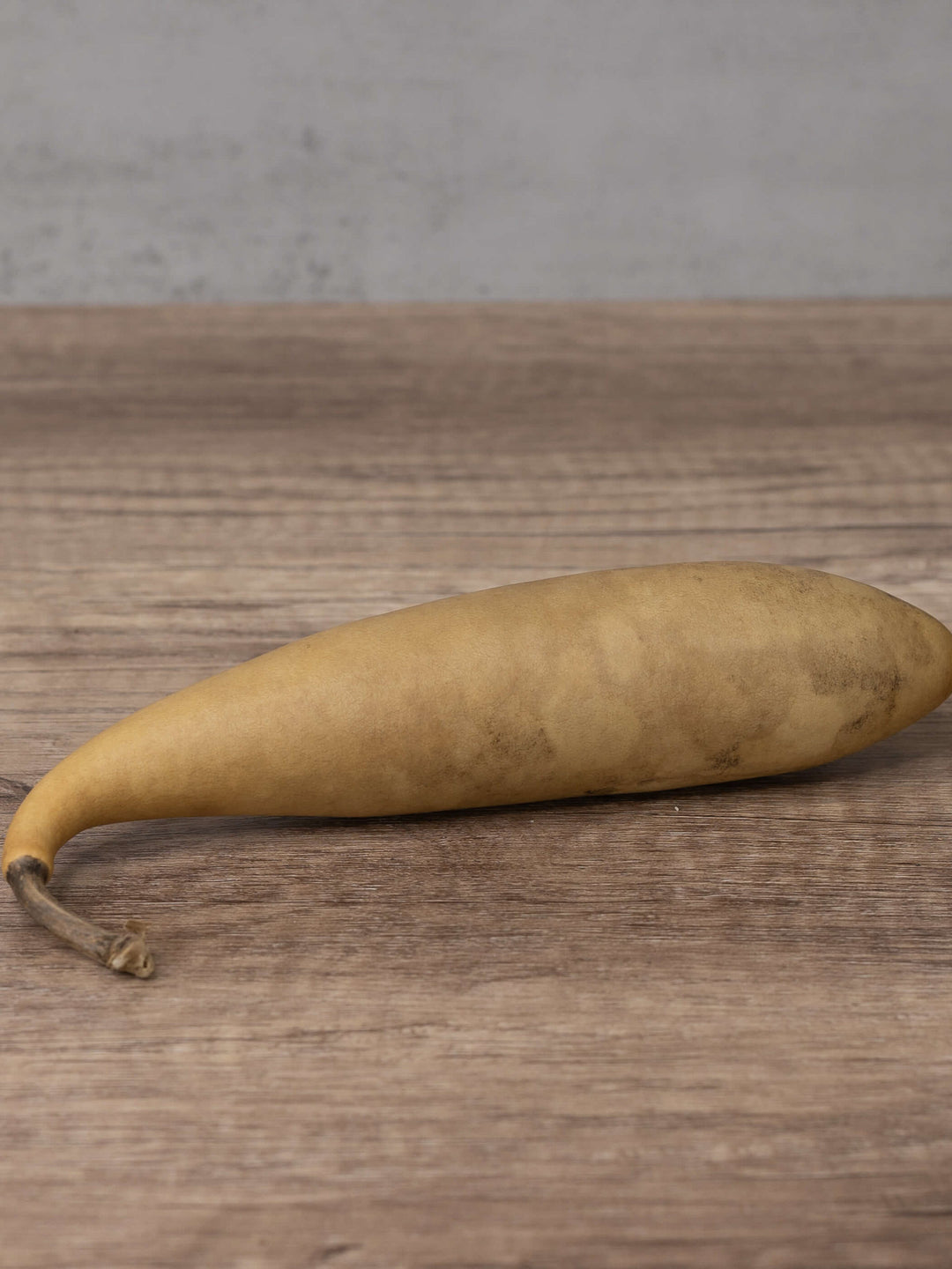 Raw unfinished banana gourd at Meadowbrooke Gourds