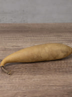 Raw unfinished banana gourd at Meadowbrooke Gourds