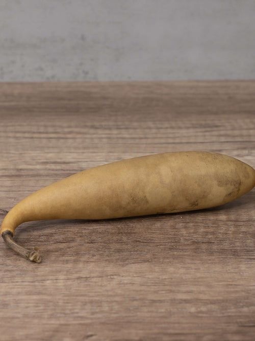 Raw unfinished banana gourd at Meadowbrooke Gourds