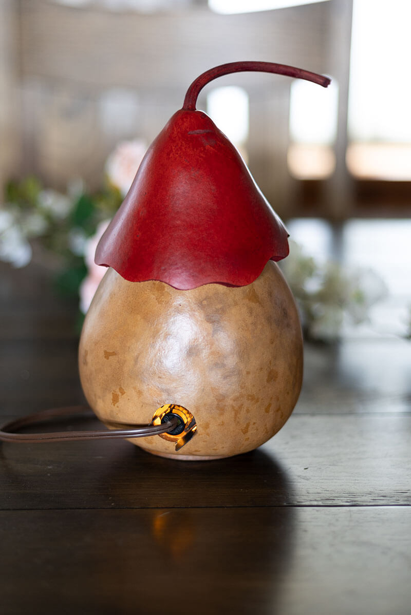 Valentine Heart Birdhouse Cottage Gourd at Meadowbrooke Gourds. 