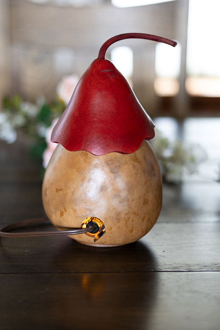 Valentine Heart Birdhouse Cottage Gourd at Meadowbrooke Gourds. 