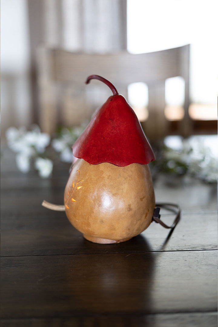 Valentine Heart Birdhouse Cottage Gourd at Meadowbrooke Gourds. 