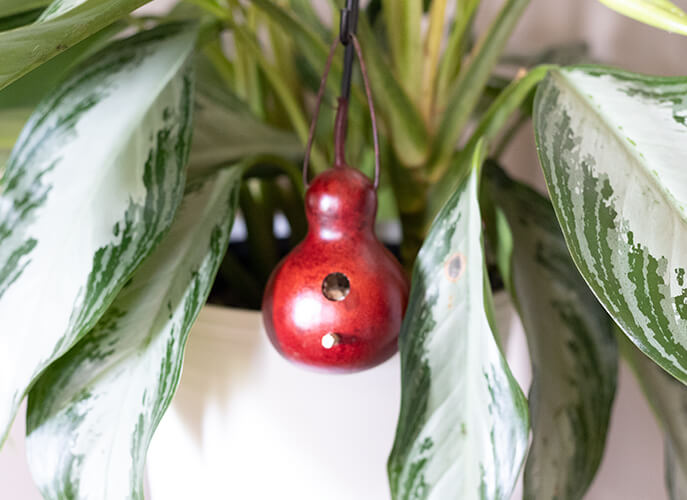 Miniature Decorative Birdhouse Gourd by Meadowbrooke Gourds