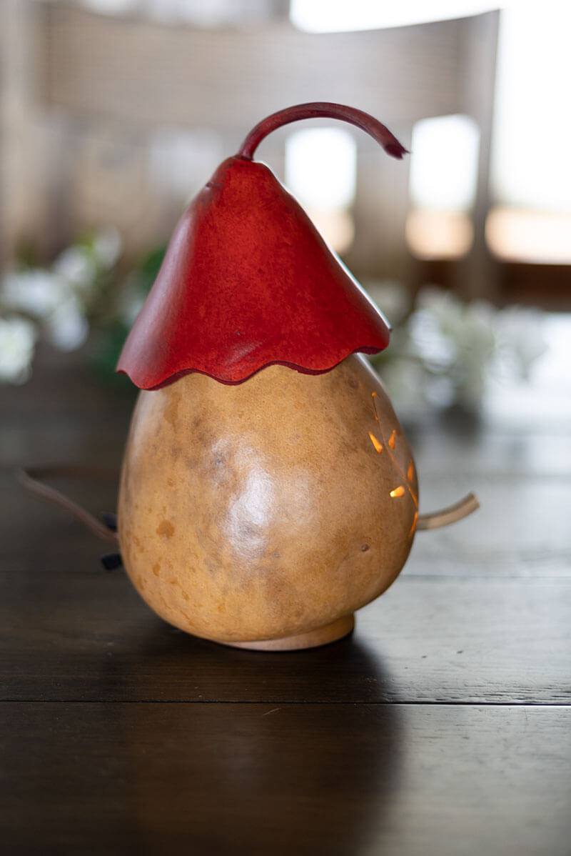 Valentine Heart Birdhouse Cottage Gourd at Meadowbrooke Gourds. 