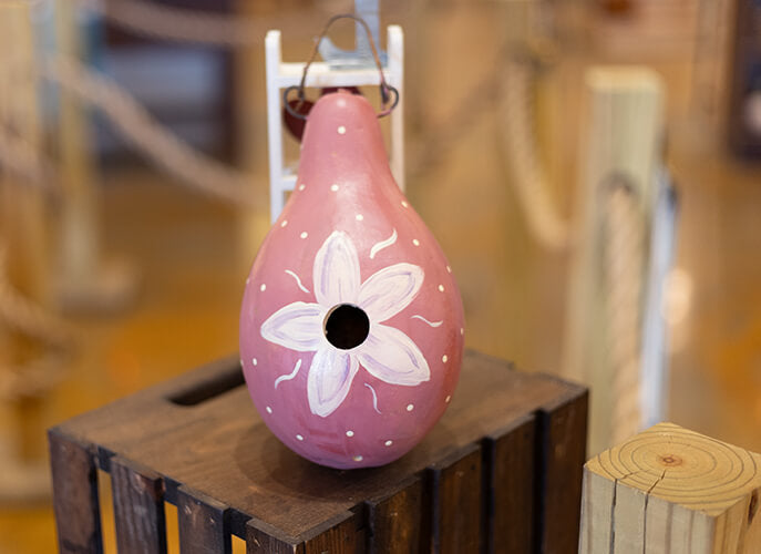 Birdhouse sample for Spring Create Your Own at Maedowbrooke Gourds. 