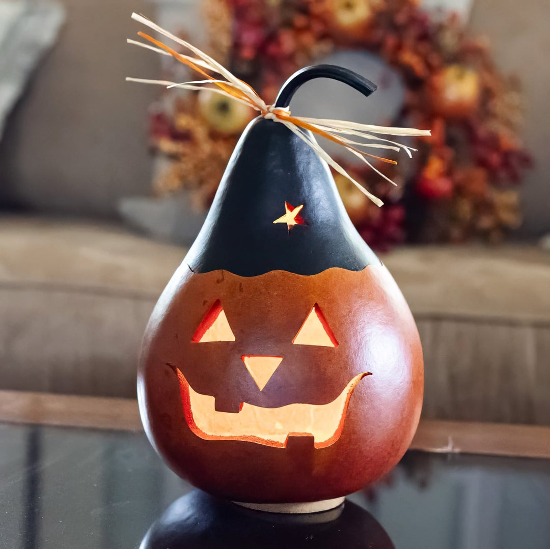 Black Jack Jack-O-Lantern Gourd at Meadowbrooke Gourds. 
