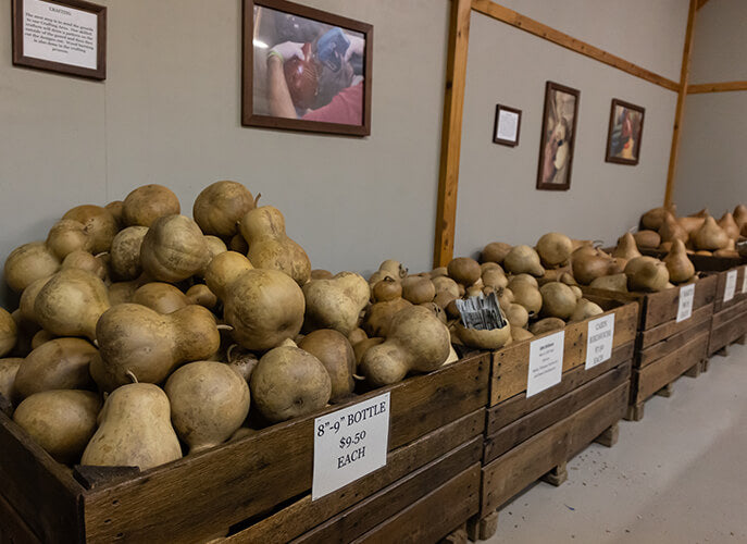 Hard Shell Gourds at Meadowbrooke Gourds. 