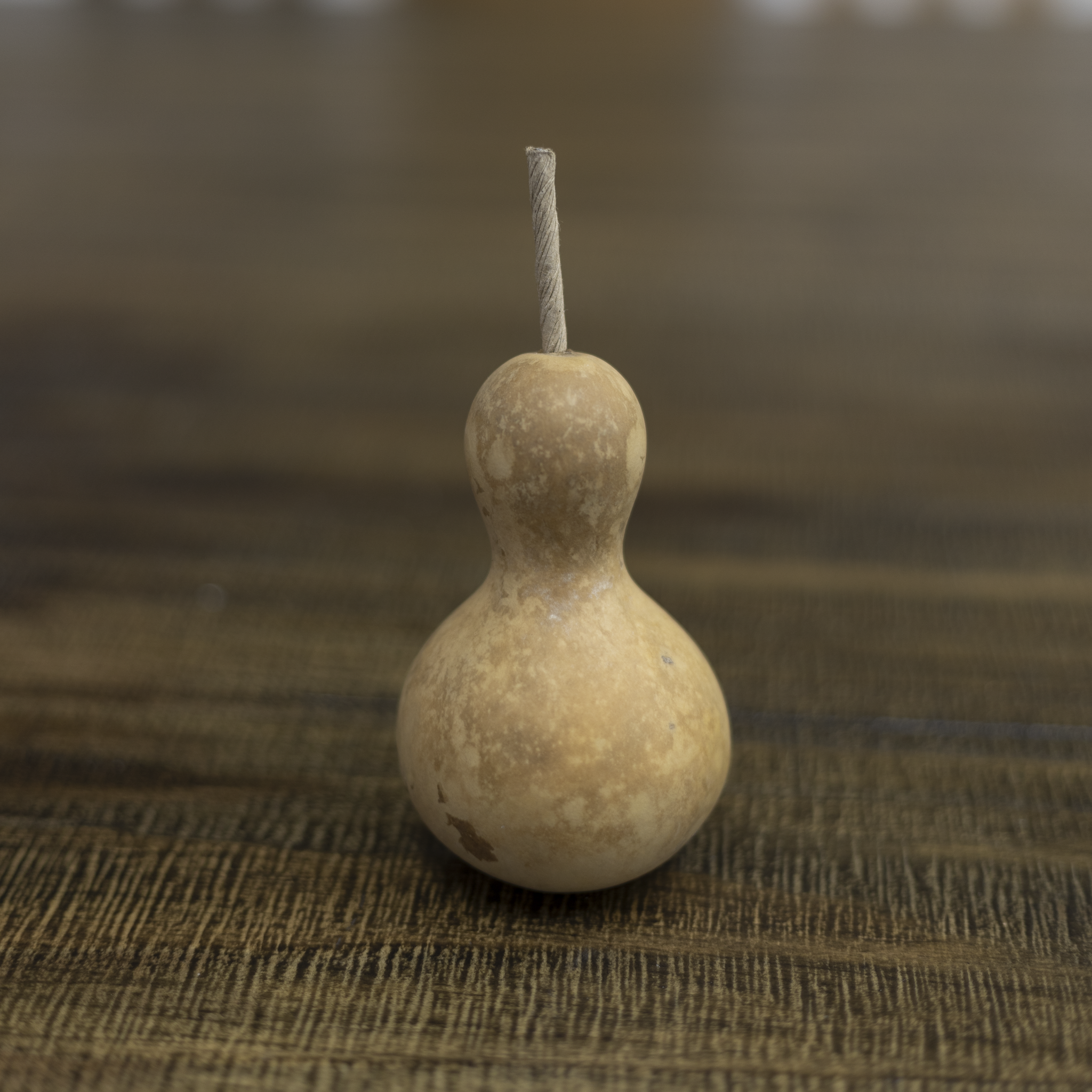Dried Bottle Gourd - 2" in Diameter
