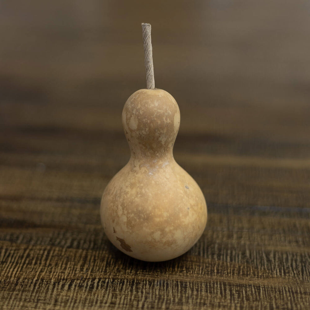 2 inch dried, hard shell bottle gourd at Meadowbrooke Gourds. 