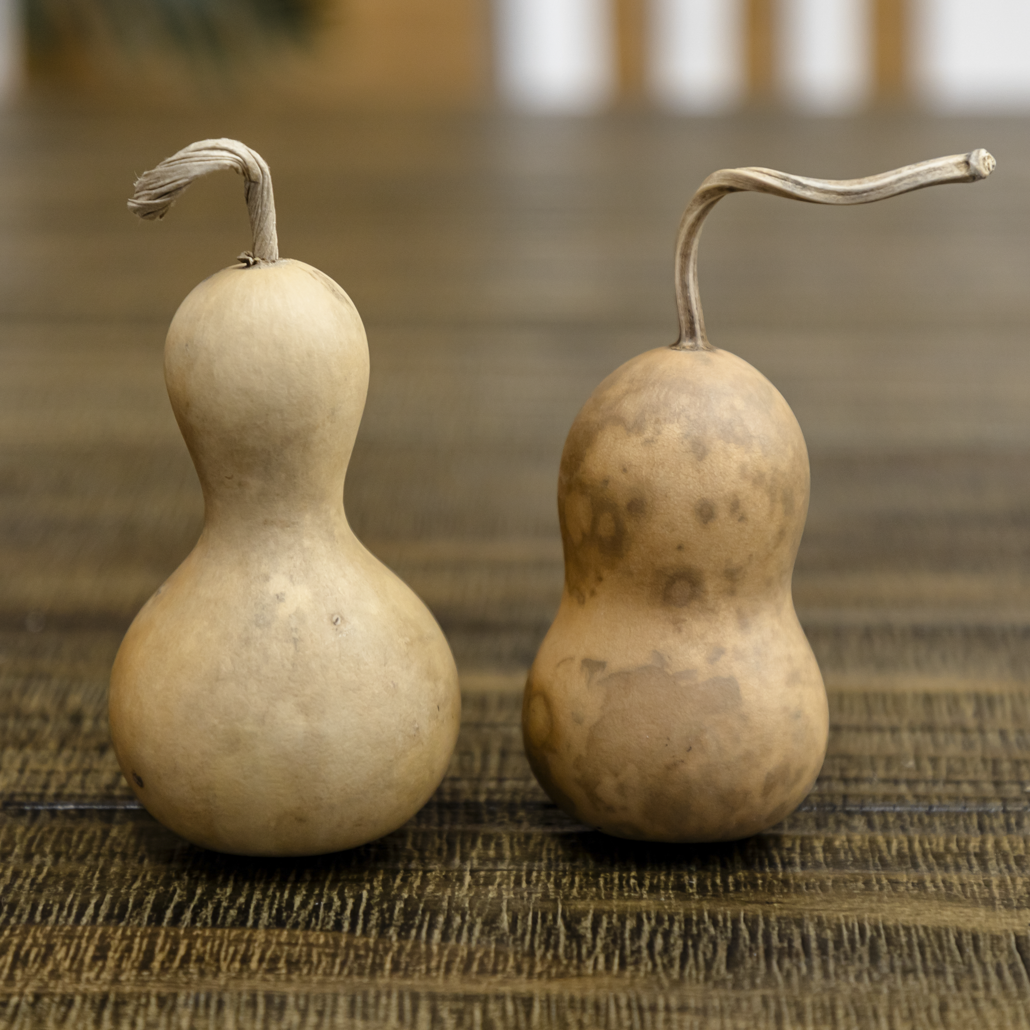 Dried Bottle Gourd - 2" in Diameter