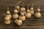2" Hard Shell Bottle Gourds at Meadowbrooke Gourds. 