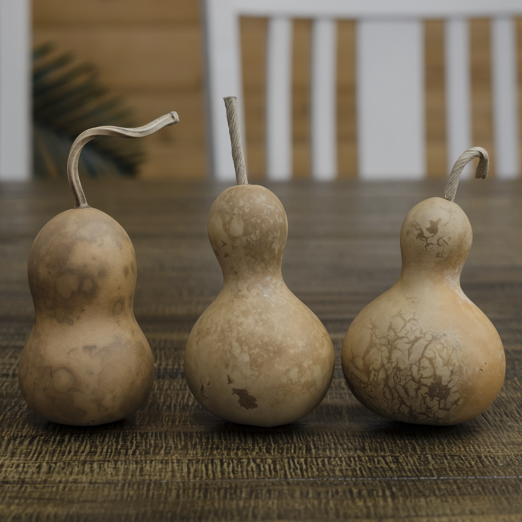 Dried Bottle Gourd - 2" in Diameter