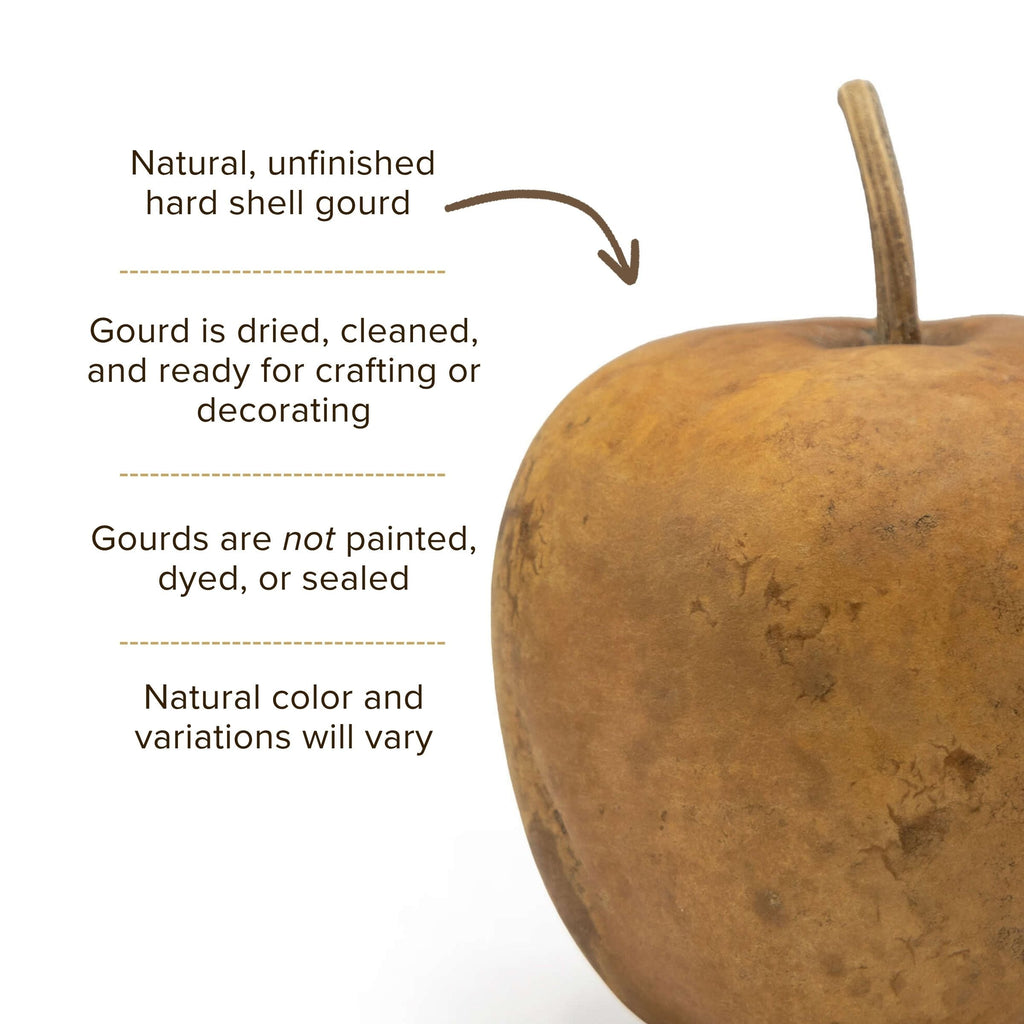 Dried Medium Apple Gourd