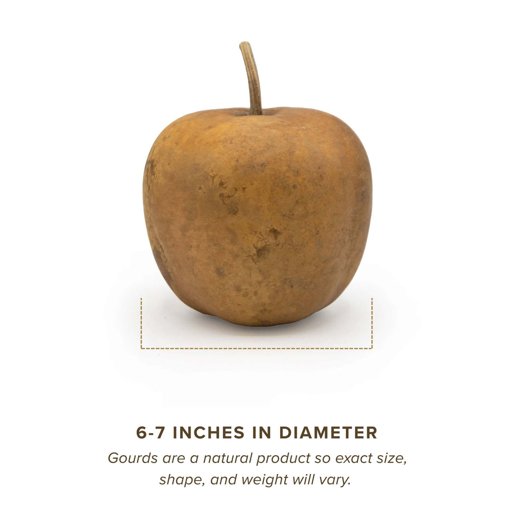 Dried Medium Apple Gourd