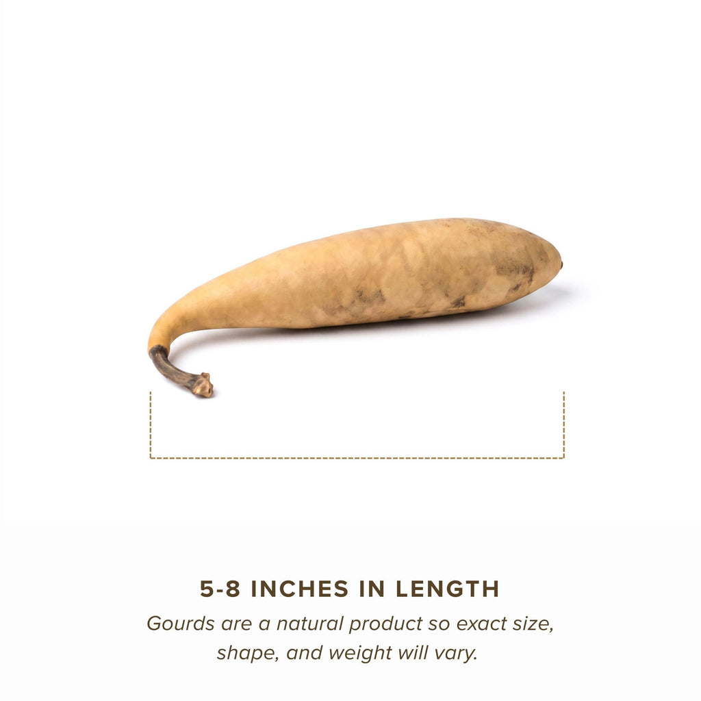 Dried Banana Gourd