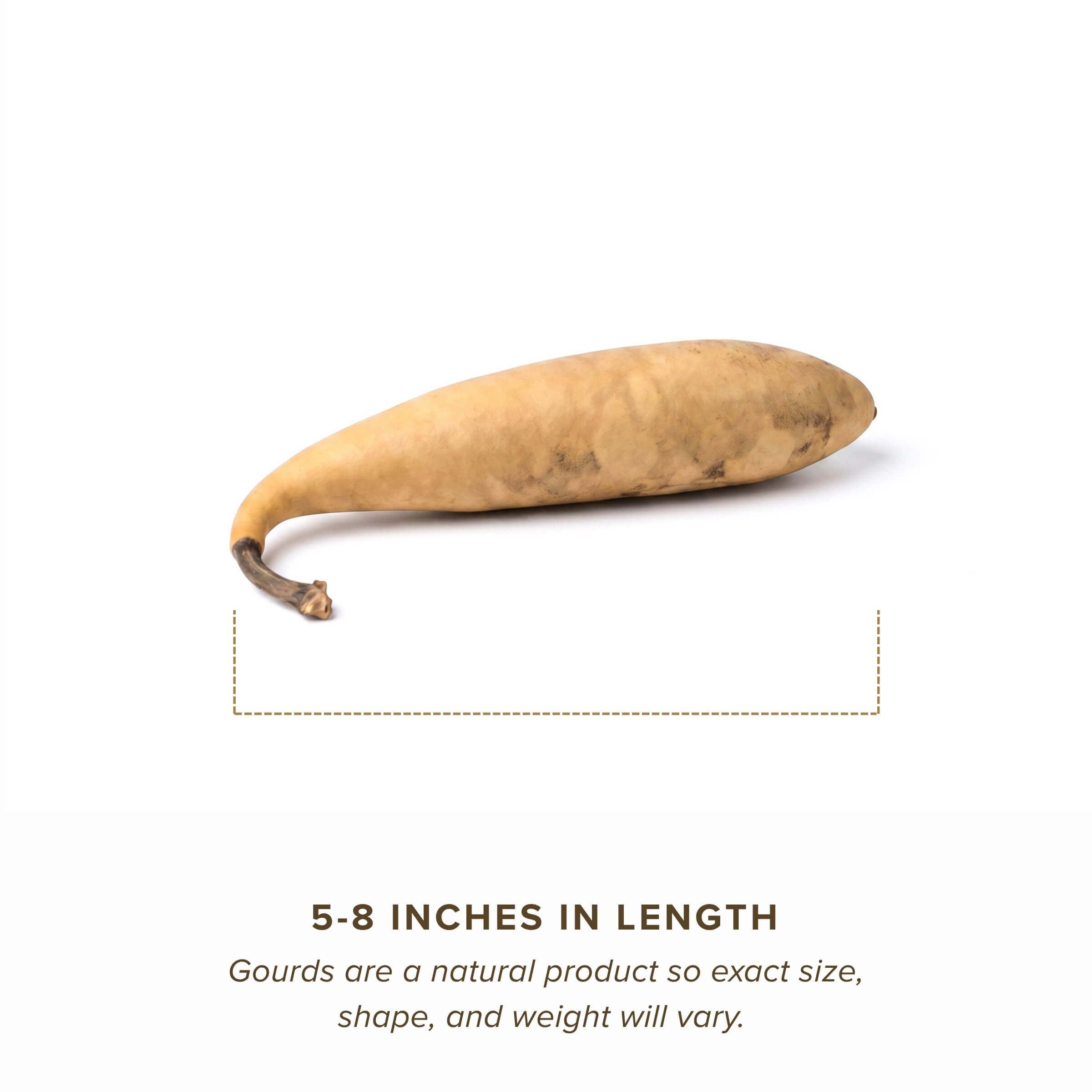 Dried Banana Gourd