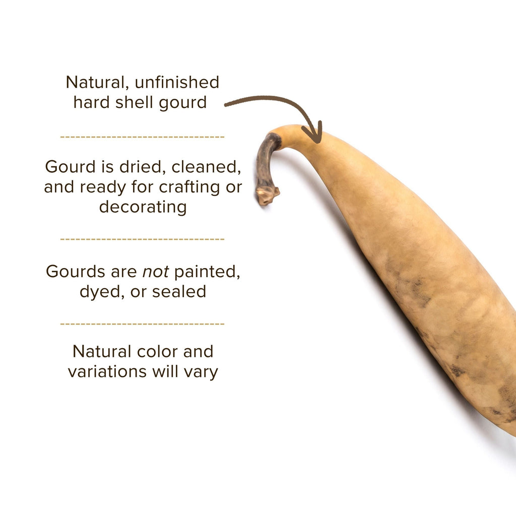 Dried Banana Gourd