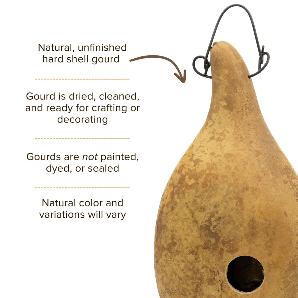 Dried Birdhouse Bungalo Gourd