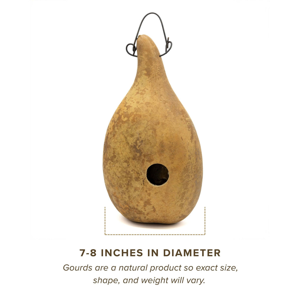 Dried Birdhouse Bungalo Gourd