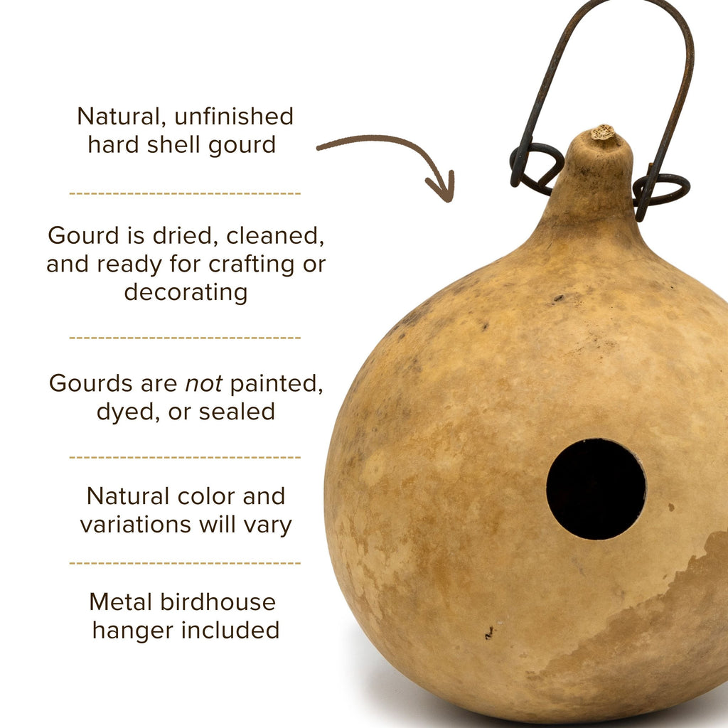 Dried Cabin Birdhouse Gourd