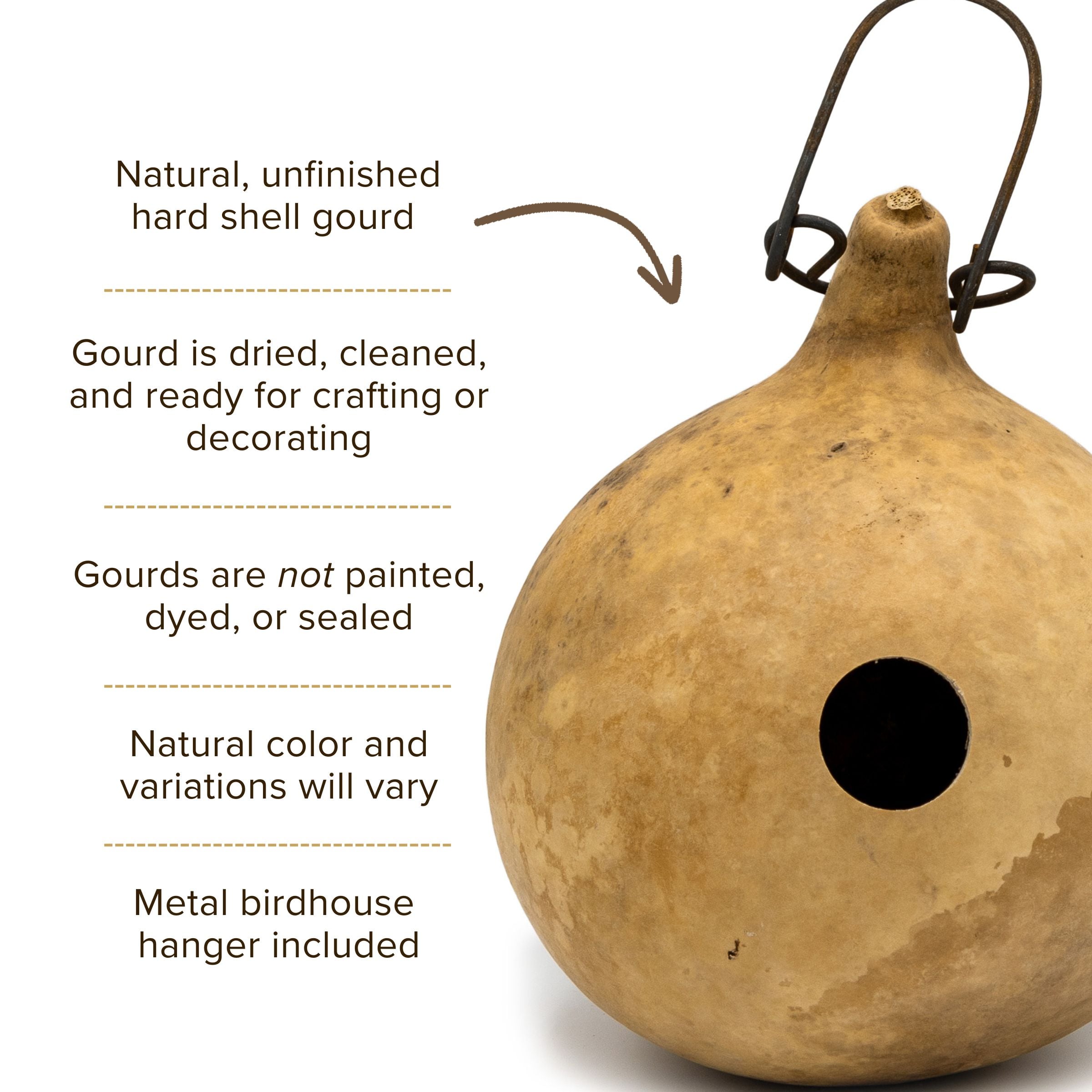 Dried Cabin Birdhouse Gourd