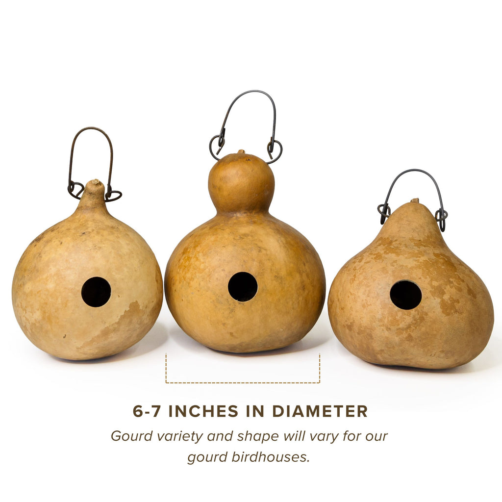 Dried Cabin Birdhouse Gourd